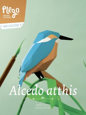 Alcedo Atthis