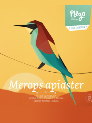 Merops Apiaster